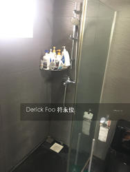 Blk 474 Choa Chu Kang Avenue 3 (Choa Chu Kang), HDB 5 Rooms #152454482